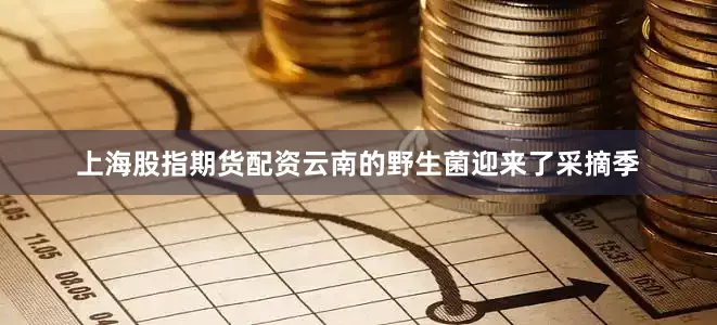 上海股指期货配资云南的野生菌迎来了采摘季