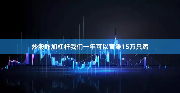 炒股咋加杠杆我们一年可以育雏15万只鸡