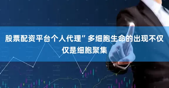 股票配资平台个人代理”多细胞生命的出现不仅仅是细胞聚集